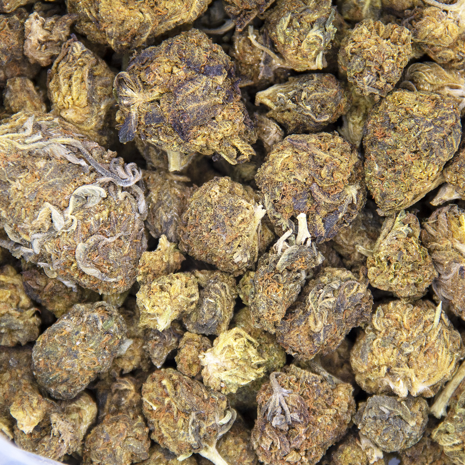 Alien Kush (mediums) AA - Image 3