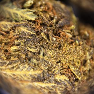 Alternative view of Alien Kush (mediums) AA