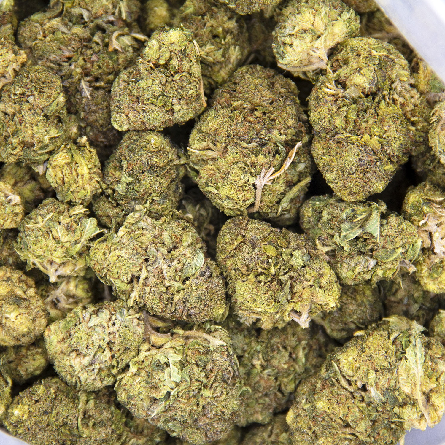 Bubba Kush AA - Image 3