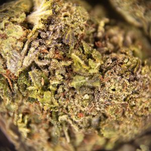 Alternative view of Bubba Kush AA