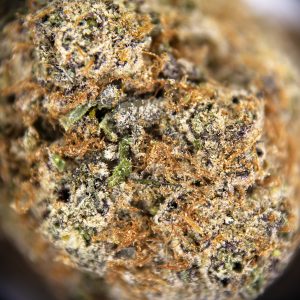 Alternative view of Gelato #33 AAA+