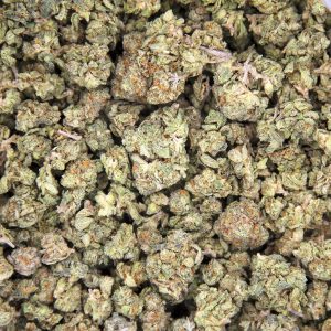 Alternative view of Mataro Blue (popcorn) AA