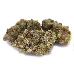 Pink Knockout AAAA