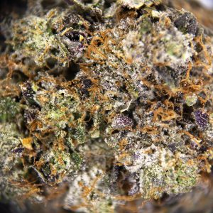 Alternative view of Pink Knockout AAAA
