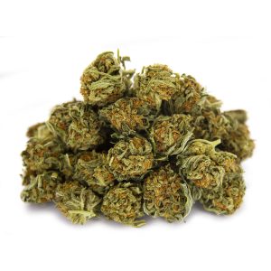 Power Plant (smalls) AA