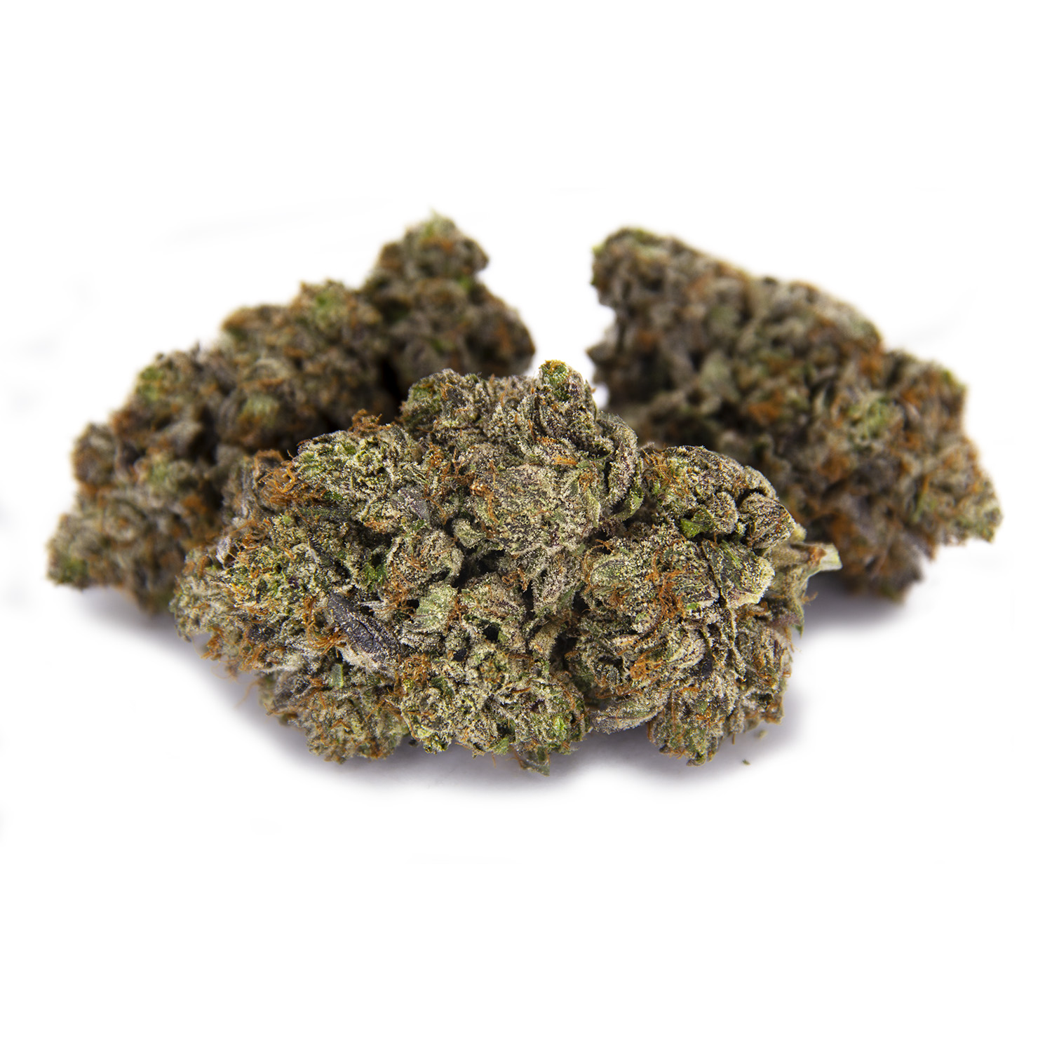 Purple Rockstar AAAA+