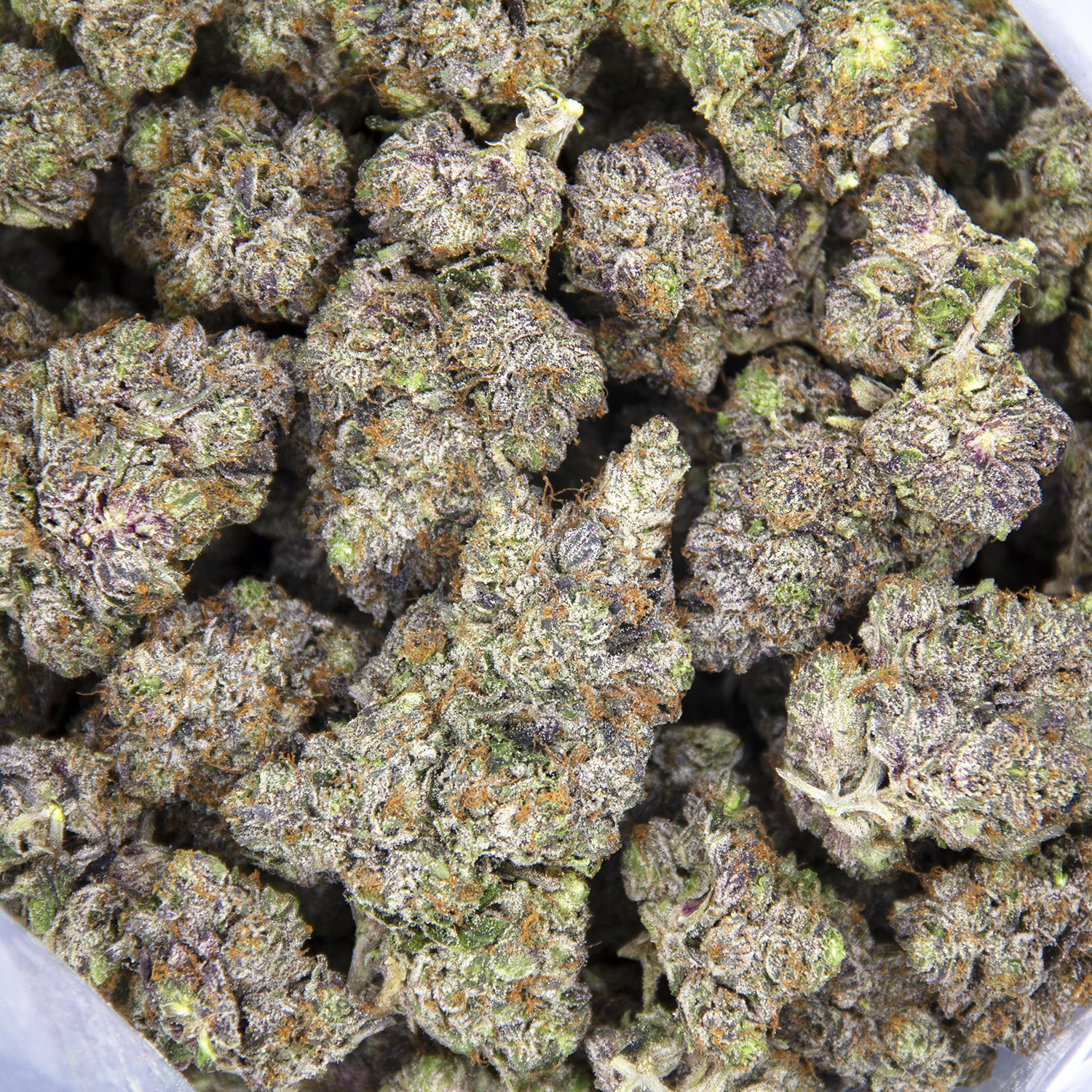 Purple Rockstar AAAA+ - Image 2