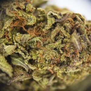 Alternative view of Sherbet AA