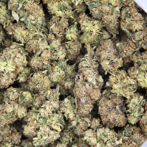 Alternative view of Dr. Bubba (smalls) AA