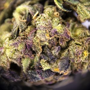 Alternative view of GMO AA