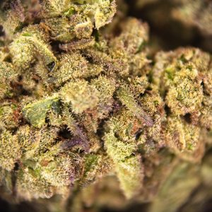 Alternative view of Lemon Zest AA