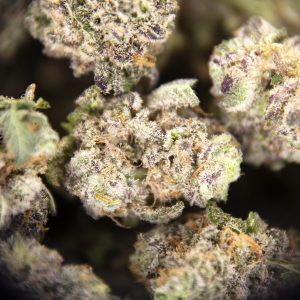 Alternative view of Purple Milk (popcorn) AAA