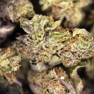 Alternative view of Rockstar Bubba (popcorn) AA