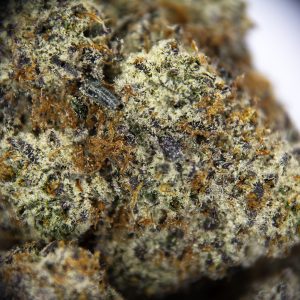 Alternative view of Slurricane AAAA
