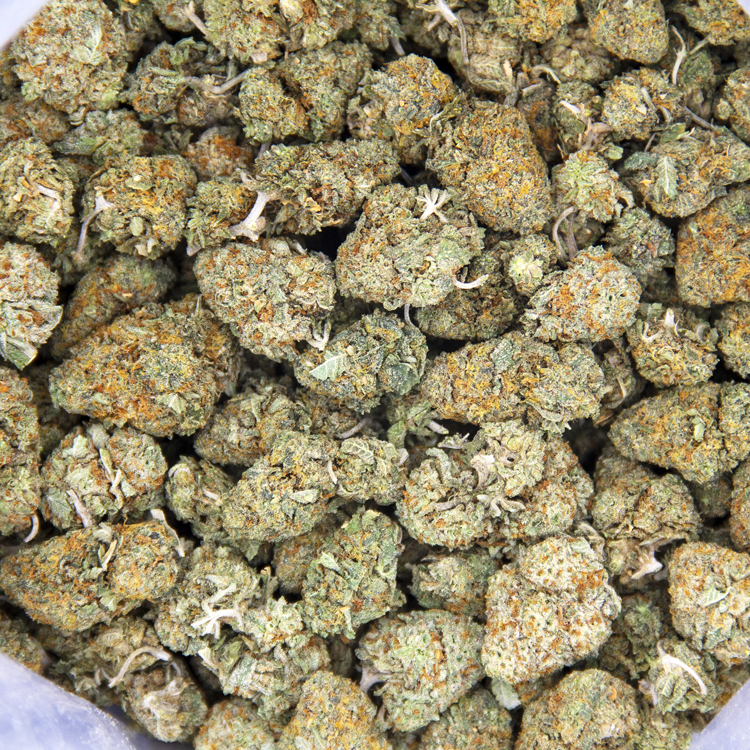 Starbud (smalls) AA - Image 2