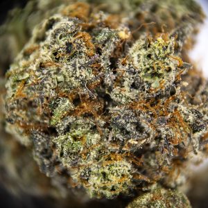 Alternative view of Sweet Tea AAA-