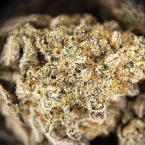 Alternative view of Thin Mint (mediums)