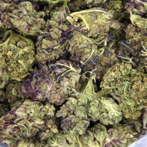 Alternative view of Zookies AA