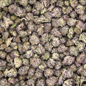 Alternative view of Blackberry Gary (popcorn) AAA