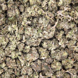 Alternative view of Hindu Kush (popcorn) AA