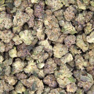 Alternative view of King Tut (smalls) AA+