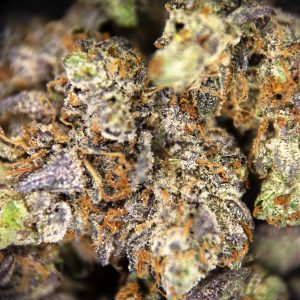 Alternative view of Master Kush (smalls) AAA