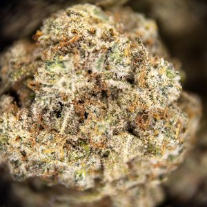 Alternative view of Silver Haze (popcorn) AA