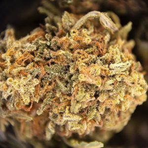 Alternative view of Alaskan Thunder Fuck (smalls) AA