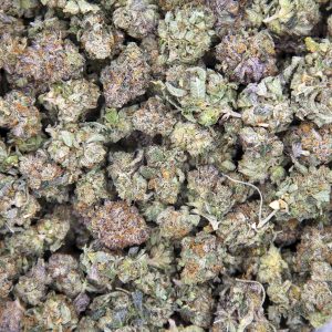 Alternative view of Cali Bubba (mediums) AA