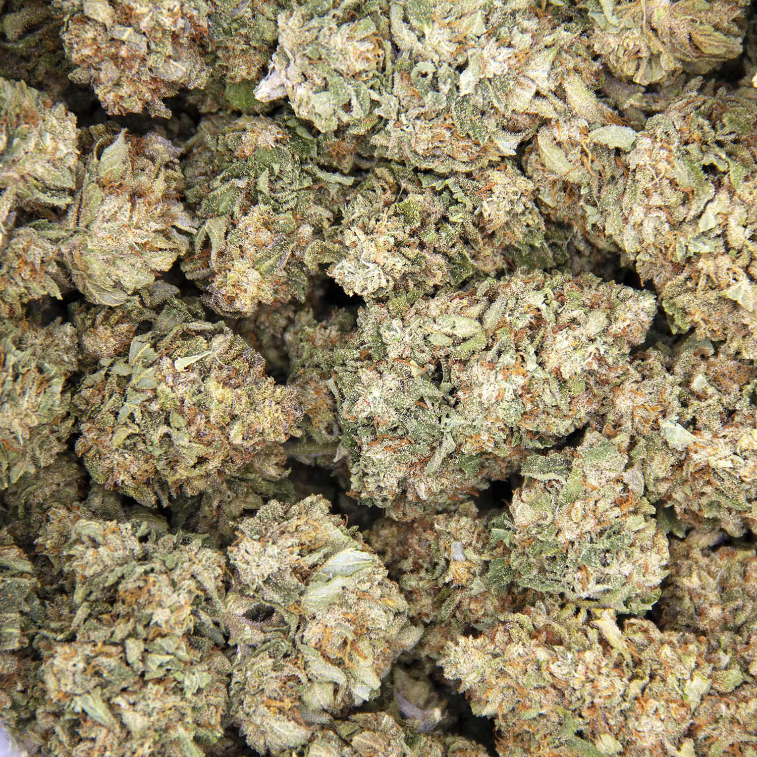 Durban Poison AA - Image 3