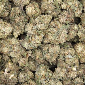 Alternative view of Ghost Train Haze (mediums) AA