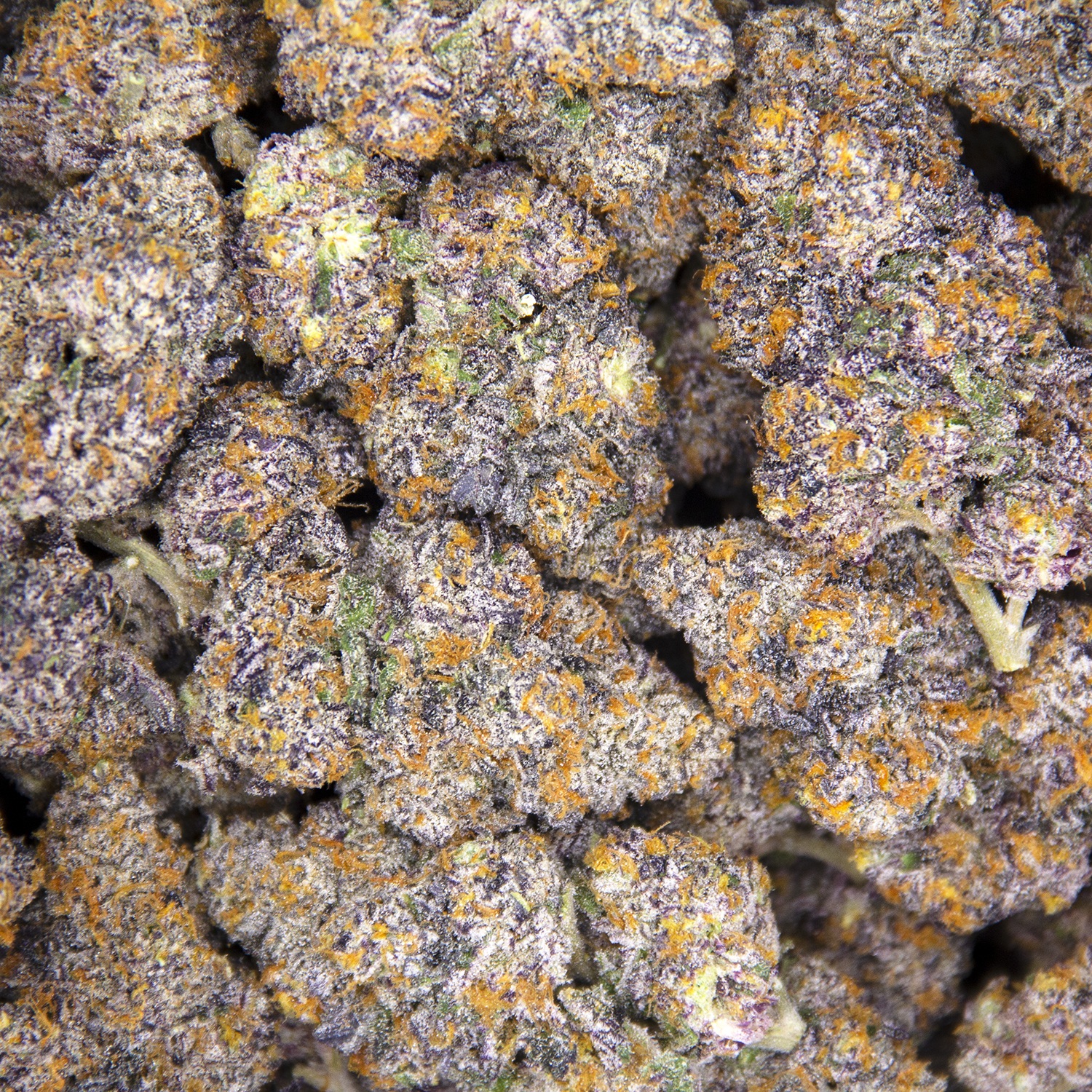 Purple Space Cookies AAA - Image 3
