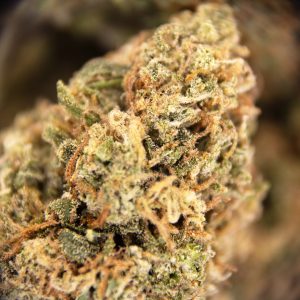 Alternative view of Super Sour Diesel (mediums) AA