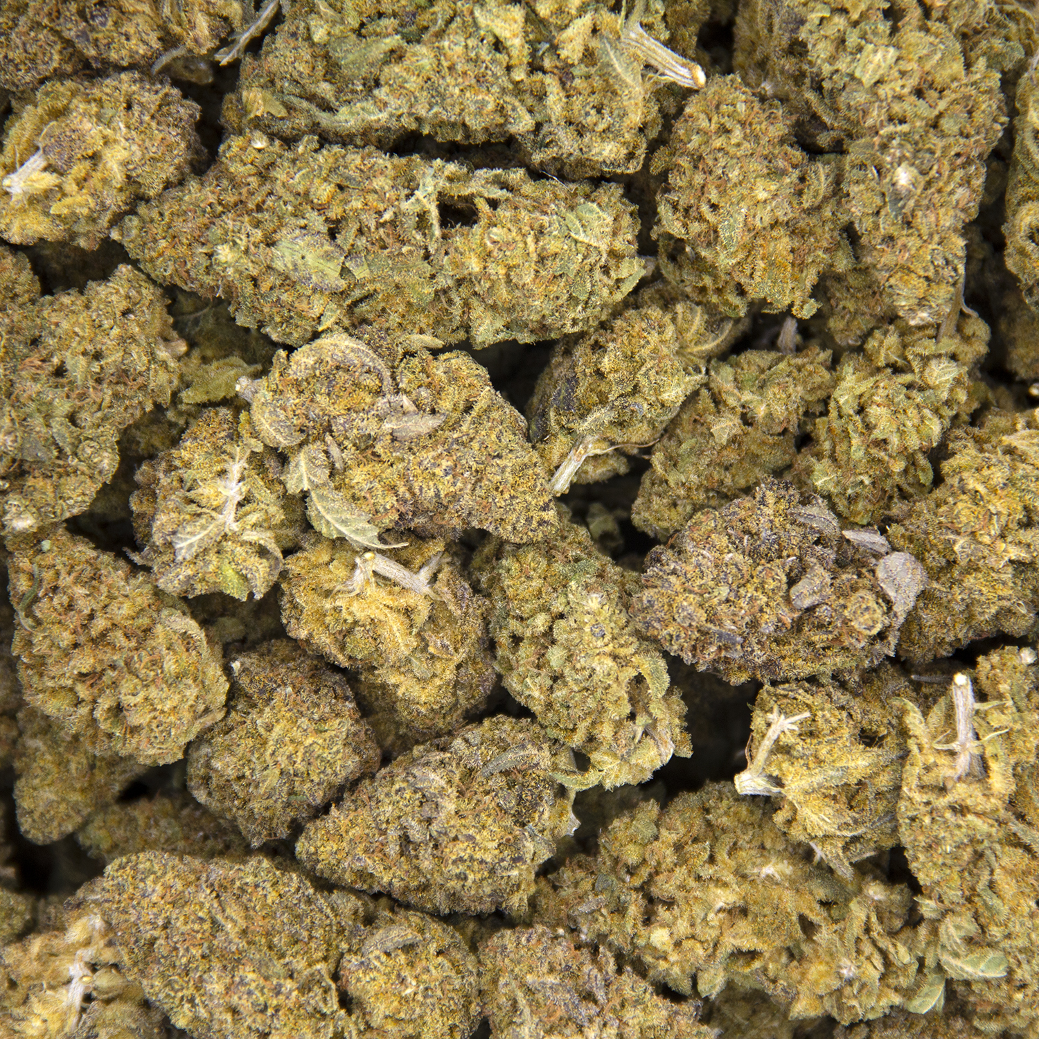 White Berry AA - Image 3